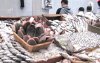300 kilo bedorven vis in beslag genomen in Marrakech