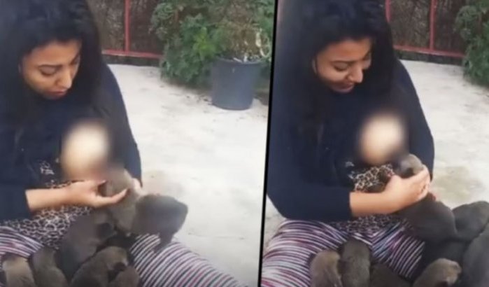 Ophef in Marokko: vrouw geeft puppy's borstvoeding (video)