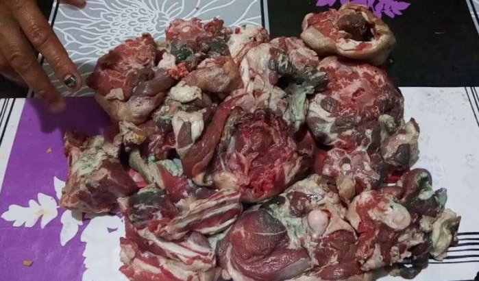 Voedsel- en Warenautoriteit Marokko: resultaten analyses blauw schapenvlees bekend