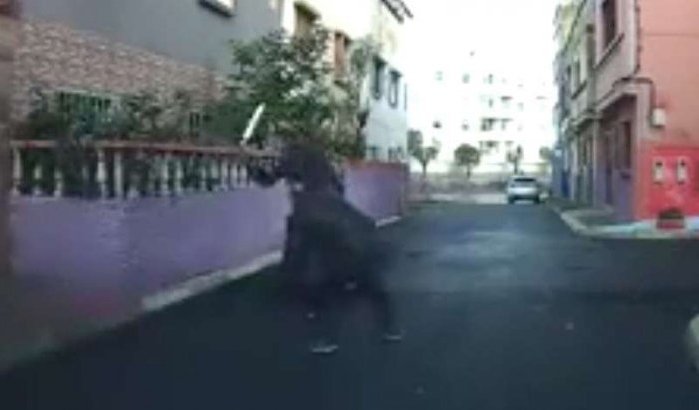 Verschrikkelijke agressie met sabel in Casablanca (video)