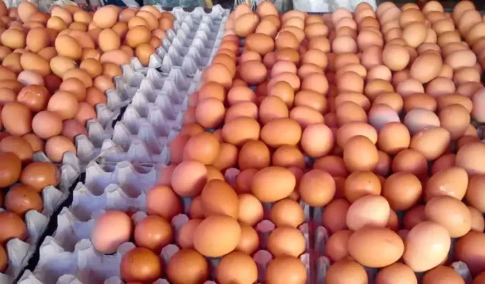 Eieren dreigen luxeproduct te worden in Marokko