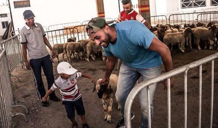 Badr Hari geeft 200 schapen weg voor het Offerfeest