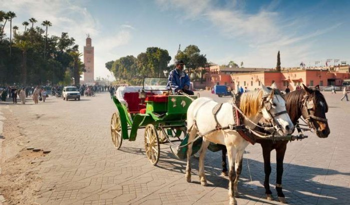 Toeristen komen minder maar geven meer uit in Marokko