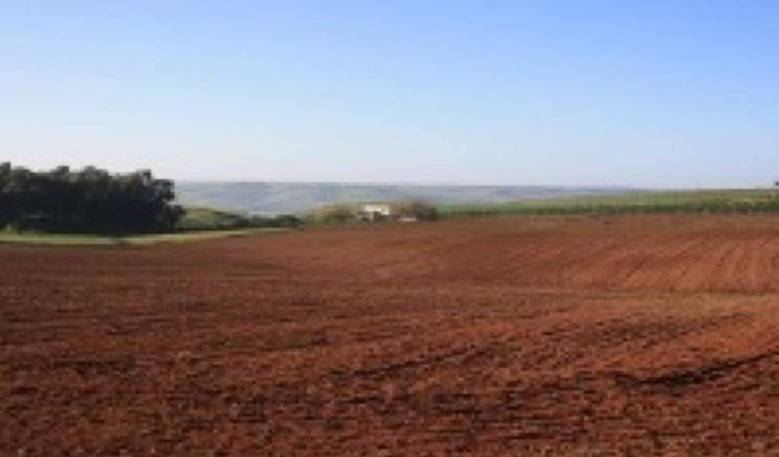 Marokkaanse Staat bezit 1 miljoen hectare grond 