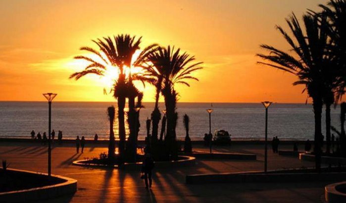 Palmbomen op zeedijk Agadir bedreigd