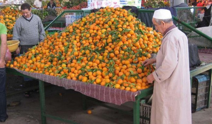 Marokko produceert 2 miljoen ton sinaasappelen 