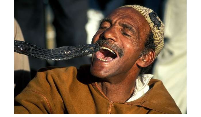 Slangenbezweerder dood na beet van cobra op Djemaa El Fna