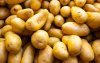 Marokkanen hekelen massale invoer aardappelen uit Egypte 