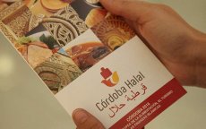 Groot congres over halal