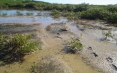 Lichaam ontdekt in moerasgebied Khouribga