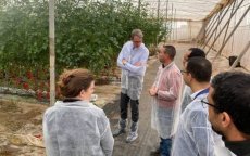 Nederlandse ambassadeur in Marokko bezoekt tuinbouwstreek Agadir