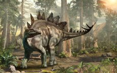 Zeldzame dinosaurussoort ontdekt in Marokko