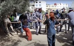 Buitenlandse activisten belemmeren sluiting dierenasiel in Agadir (video)