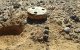 Marokkaanse Sahara: leger maakt 96.000 mijnen onschadelijk