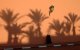 Marrakech beste 2012-bestemming in Afrika 