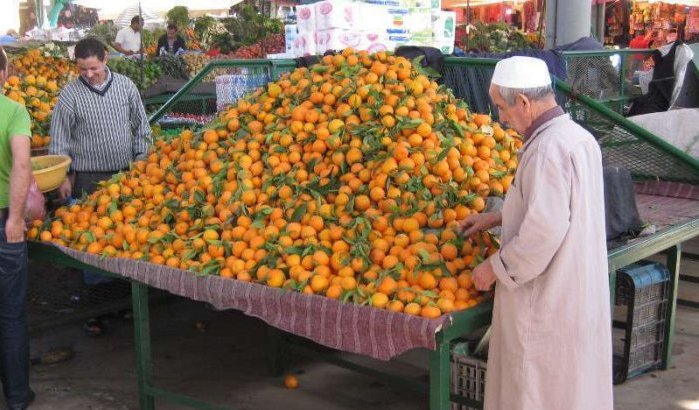 Marokko ontvangt 720 miljoen van Japan voor landbouwsector