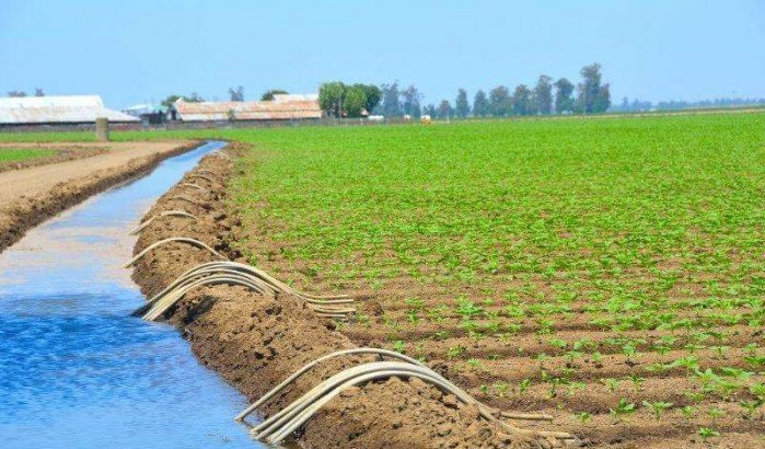 Landbouw: AfDB verleent Marokko lening van 1,2 miljard dirham