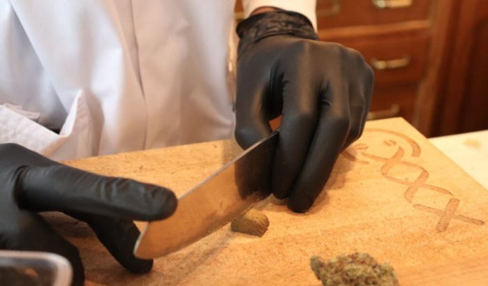 Legale cannabis in Marokko "niet om coffeeshops te openen!"