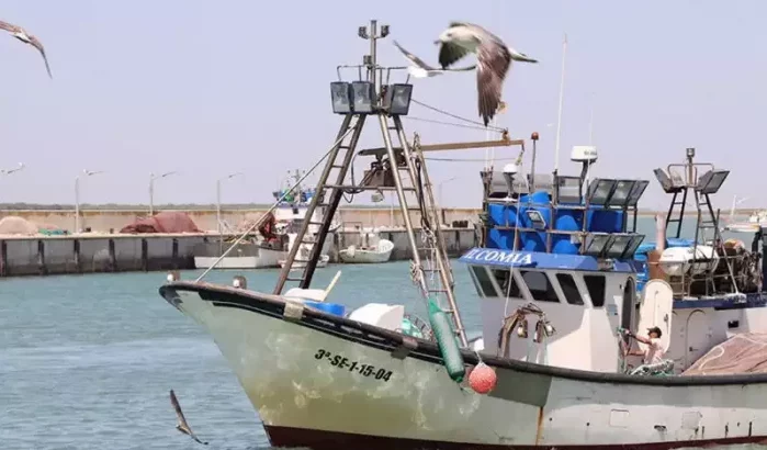 Hernieuwing visserijovereenkomst EU-Marokko: een uitdaging voor Spanje