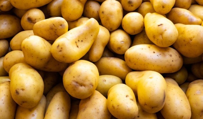 Marokkanen hekelen massale invoer aardappelen uit Egypte 