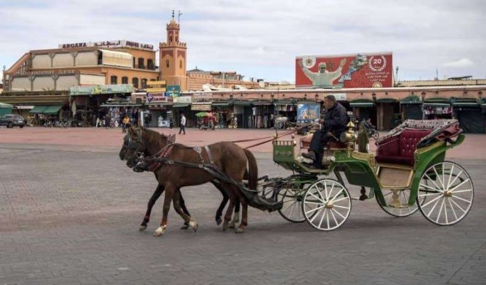 Recessie in Marokko veel erger dan verwacht