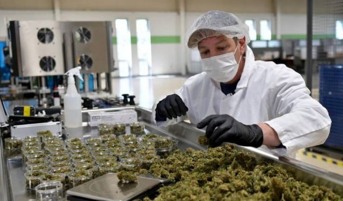Al Hoceima bouwt industriezone voor cannabisverwerking