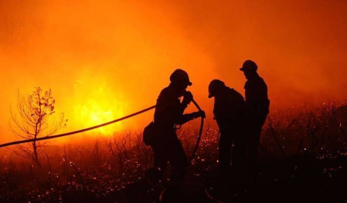 Gigantische brand in Bouskkour bos bij Al Hoceima