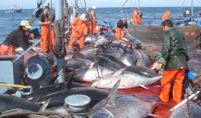 Europese vissersschepen terug in Marokko