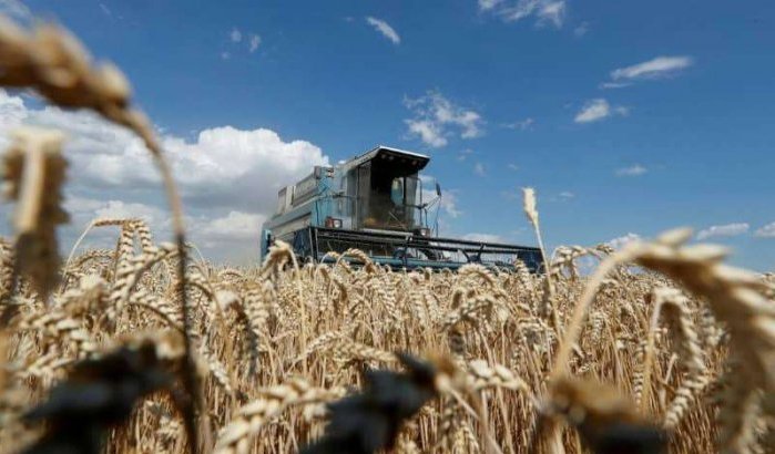 Toelichting bij stopzetting export Oekraïense tarwe naar Marokko