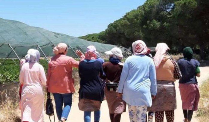 Spanje geeft prioriteit aan Marokko voor seizoenswerk