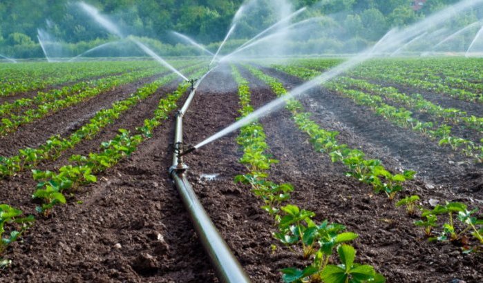 Marokko: "waterdieven" opgepakt