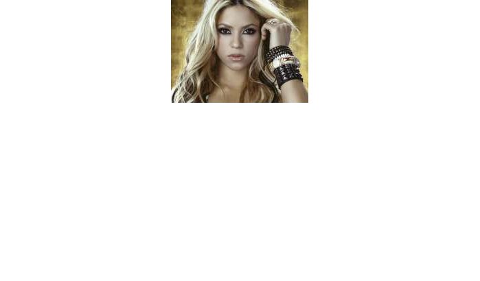 Soldaat veroordeeld voor fotomontage met Shakira 