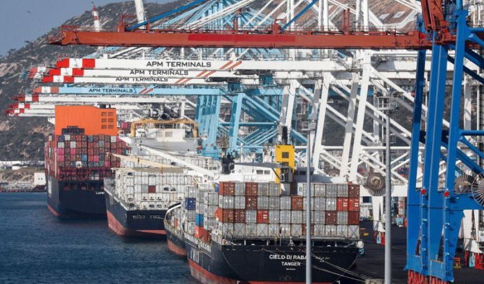 Marokkaanse exportmachine draait op volle toeren, record!