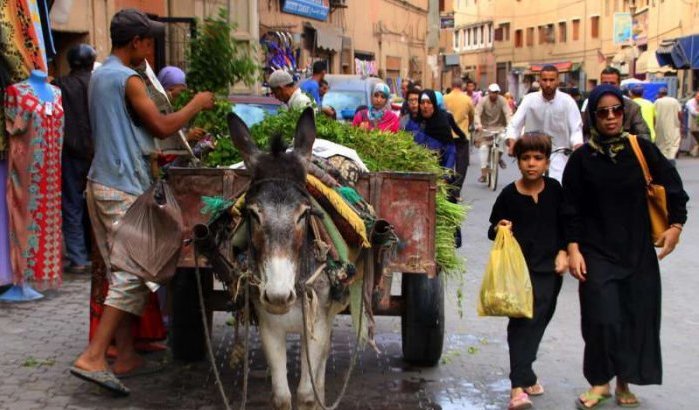 Agadir verbiedt door dieren getrokken karren