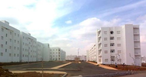 Tamesna