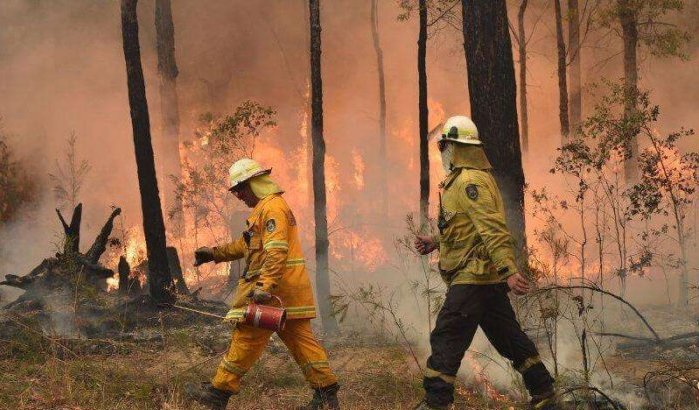 Australië: moslims delen 36.000 flessen water uit aan brandweer
