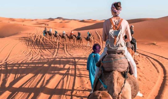 Toerisme: ondernemers doen noodoproep aan Koning Mohammed VI