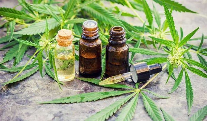 Legalisering cannabis: een "verademing" voor Marokko