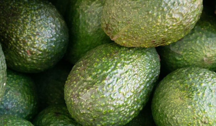 Marokkaanse groene goud in gevaar