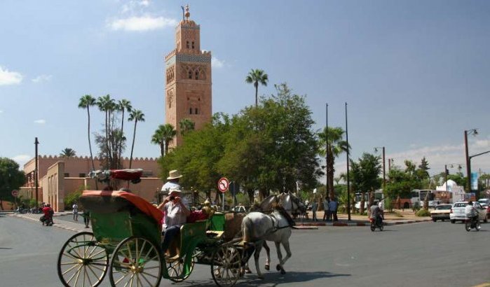 Marrakech in top 10 goedkoopste zomerbestemmingen
