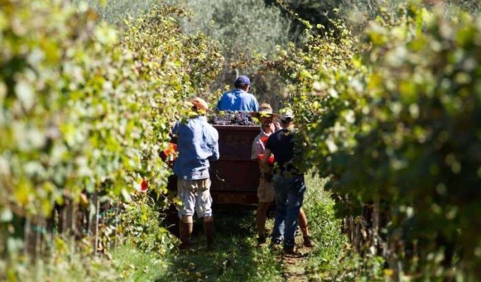 Italie kent werkvergunningen toe aan Marokkanen