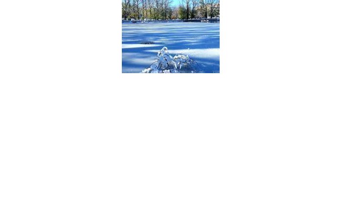 Ifrane is 2e properste stad ter wereld