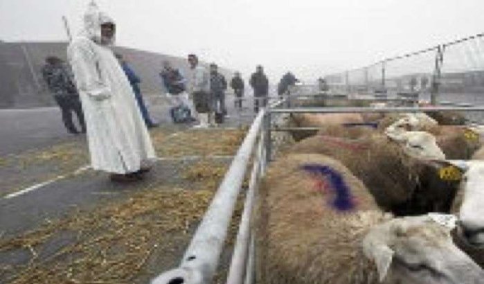 Eid Al Adha gevierd op 26 oktober in België 