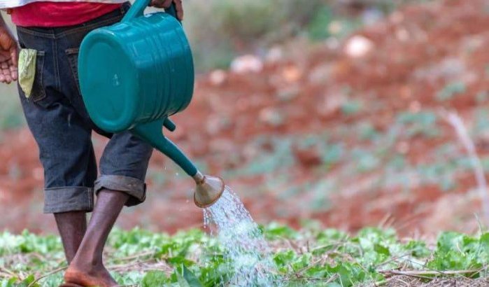 Marokko helpt Jamaica met landbouw