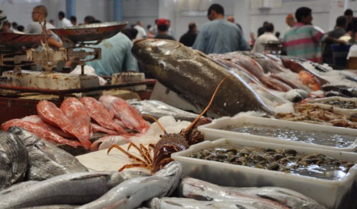 Russische import van Marokkaanse vis keldert
