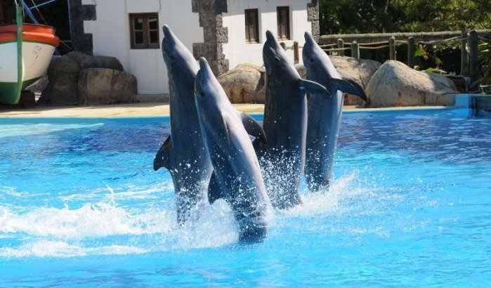 Agadir krijgt eigen pretpark 'Agadirland'