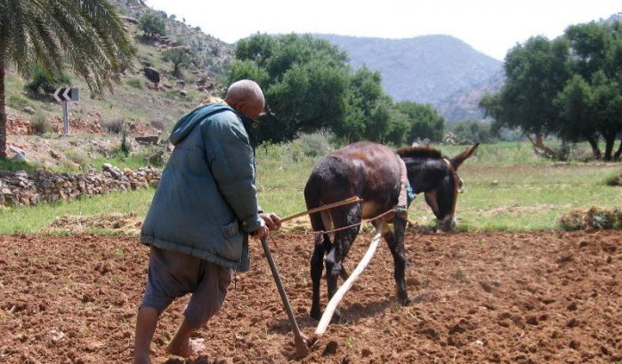 Marokko genoodzaakt landbouwproductie te herzien