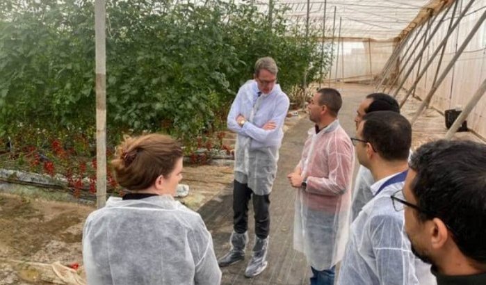 Nederlandse ambassadeur in Marokko bezoekt tuinbouwstreek Agadir