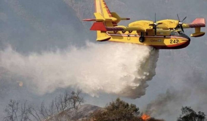 Ruim 100 hectare bos verwoest door brand in Tetouan