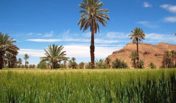 Marokko bij droombestemmingen van 2020